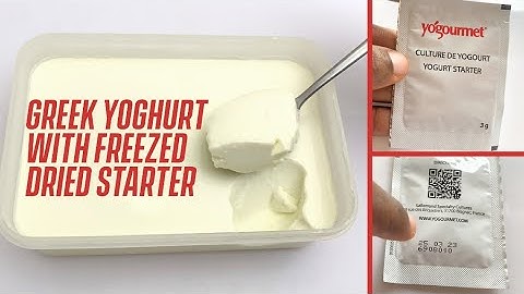 2 INGREDIENTS YOGURT|FREEZED DRIED STARTER|BEST GREEK YOGURT