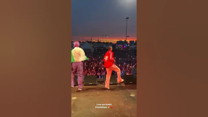 Rema brings out Wizkid on his set at Oh My! Festival in Rotterdam 🦇🦅