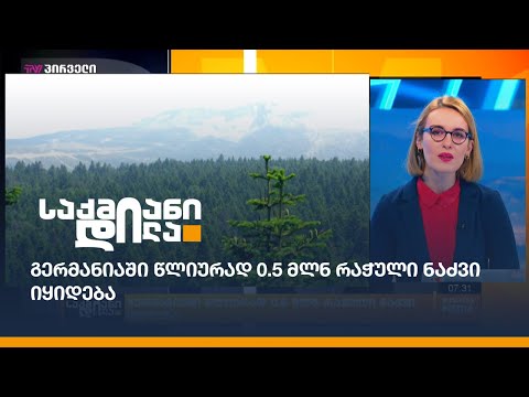 გერმანიაში წლიურად 0.5 მლნ რაჭული ნაძვი იყიდება