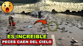 ¡INCREIBLE! CAEN PECES DEL CIELO EN UN PUEBLO DE IRAN, LA GENTE HUYE, ESTAN POR TODAS PARTES