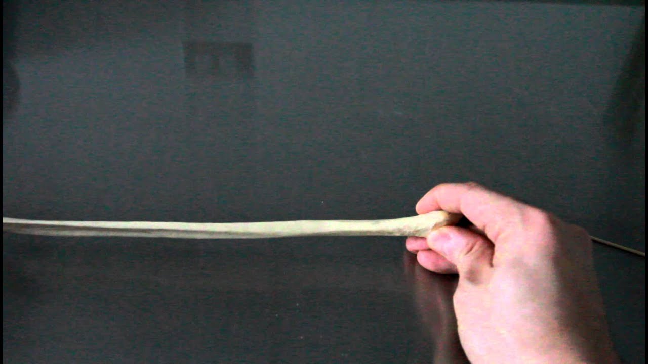 SKELETAL SYSTEM ANATOMY: Bones of the lower leg Fibula