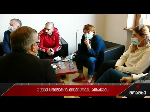 ელენე ხოშტარია პარლამენტში შიმშილობს