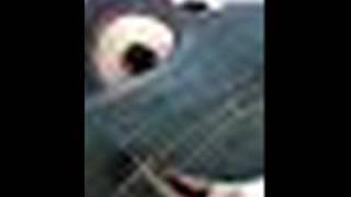 Alex Is A Stupid N***** EARRAPE