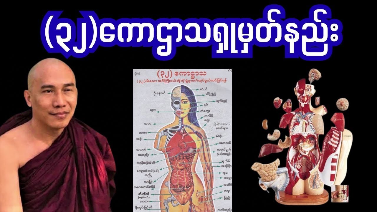 #taryartawchannel#dhammatayarchannel#  #buddhatayar#dhammatayar