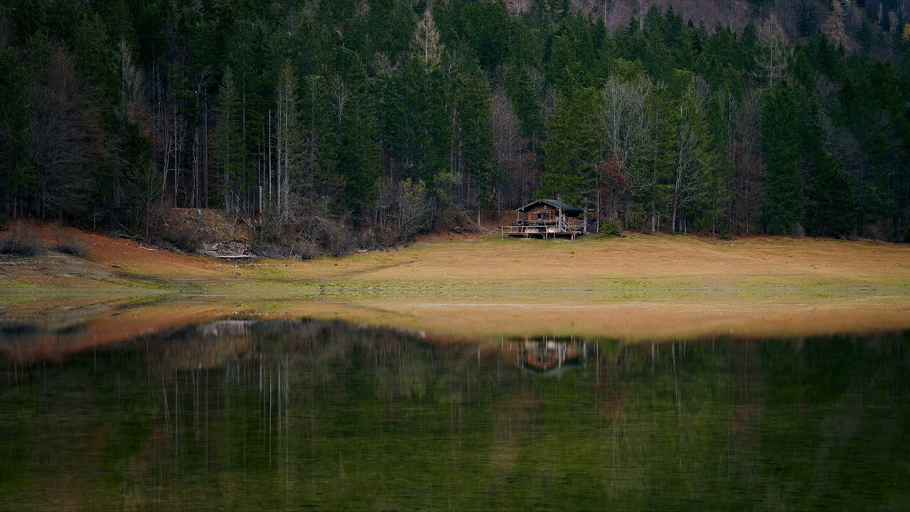 Calm And Forest | Beautiful Chill Mix