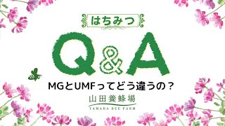 【マヌカ蜂蜜Q&A】MGとUMFってどう違うの？