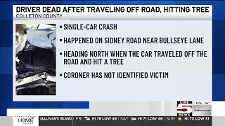 VIDEO: Colleton County sees deadly early-morning crash between car and tree