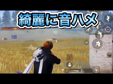 【荒野行動】何度も見たくなる音ハメ！俺が好きなキル集3選