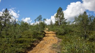 Mountain biking in Saariselkä area in Inari, Finland