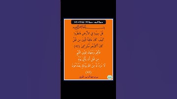 سورة الروم - سورة 30 - اية 43-42