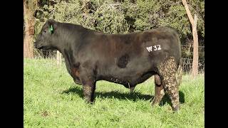 Lot 29