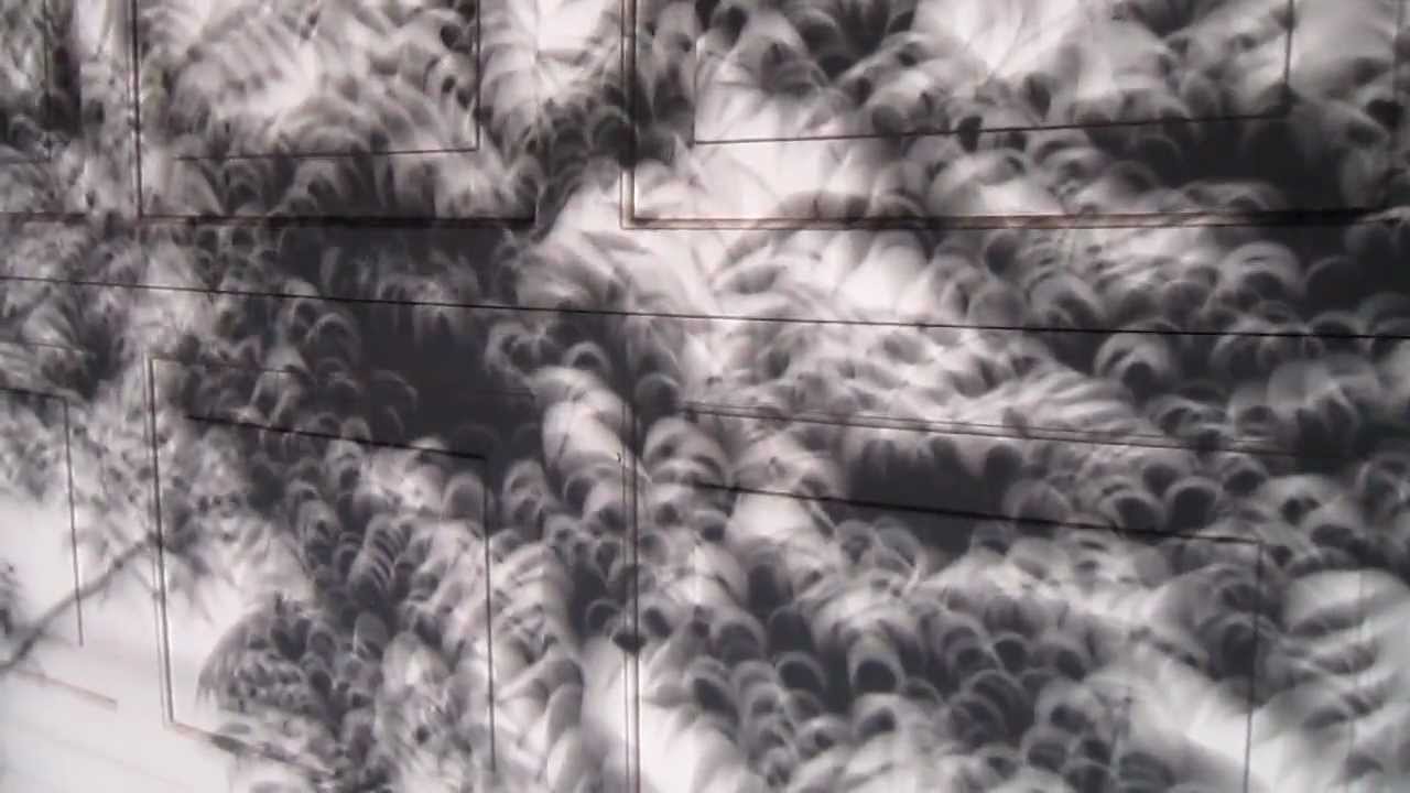 See the solar eclipse using nature's pinhole camera, tree leaves