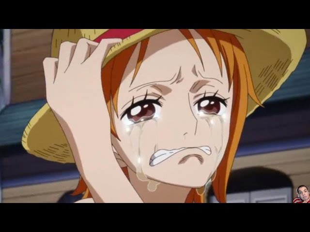 One Piece Episode of Nami Tears of a Navigator Review ワンピース