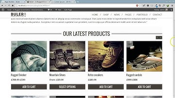 Buler Woocommerce Theme - Page Builder