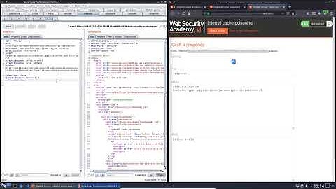 Internal cache poisoning (Video solution)