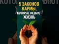 5 кармических законов, которые меняют твою реальность 💥