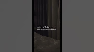 #قرآن سورة الملك سبحان الله وبحمده سبحان الله العظيم ، اكتب شيء تؤجر عليه