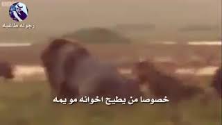 حزني ع اخوي ما يخلص