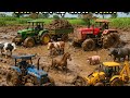 🚗 कार, बस, जेसीबी, ट्रक और एनिमल टॉय गेम 🐘 बच्चों का सुपर फन वीडियो 🎉