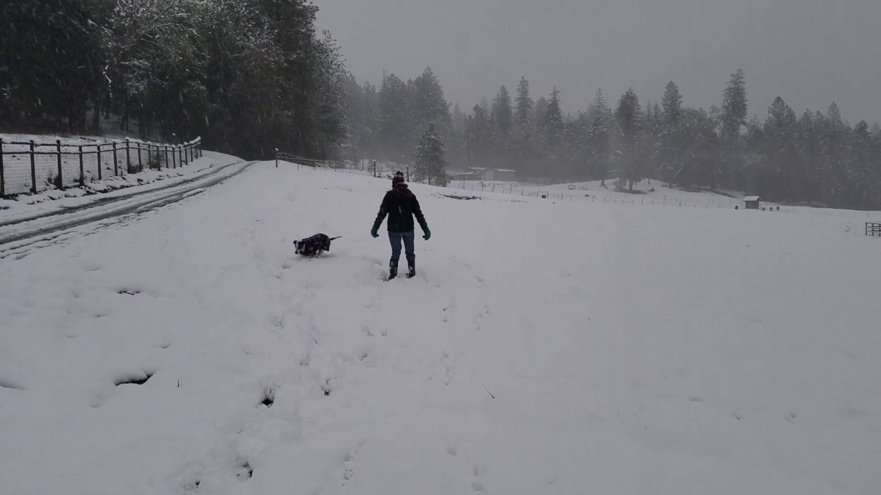 video editing software free Lilly vs snow