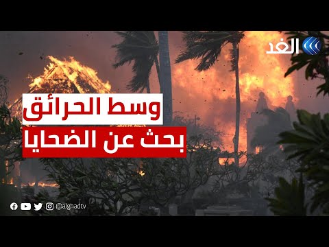 أكبر كارثة وخسائر في الأرواح بأميركا الكلاب المدربة لم تمشط سوى 3 من المناطق والسكان في صدمة