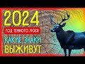 2024 год ТЕМНОГО ЛОСЯ. Прогноз по славянскому календарю | Приметы Советы