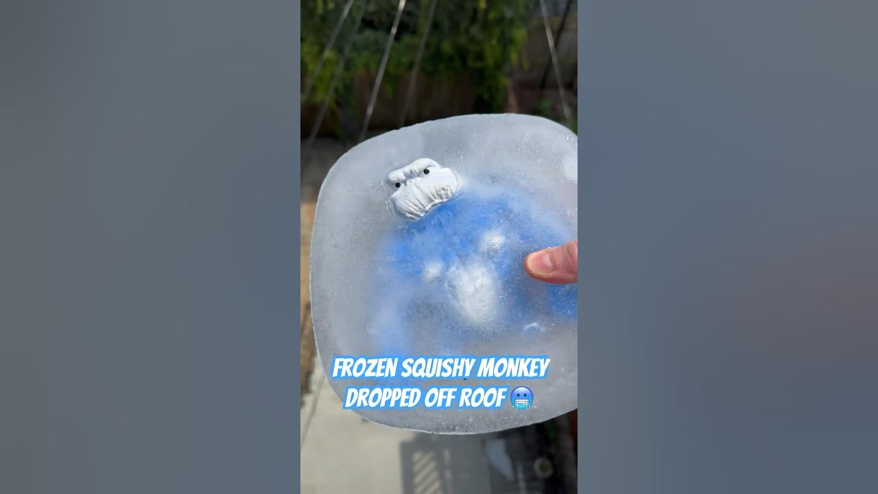 Frozen Squishy Monkey Thrown off Roof 🥶🙈 #shorts #monkey - YouTube