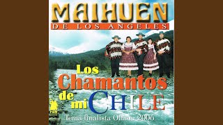 Video thumbnail of "Maihuen de los Angeles - Mujer Chilena"