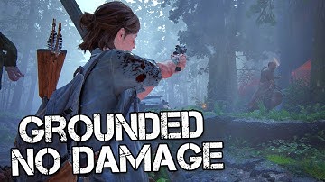 The Last of Us Part 2 - "Seraphite Patrol Encounters" Broken Stealth (Grounded / No Damage) Ps4 Pro