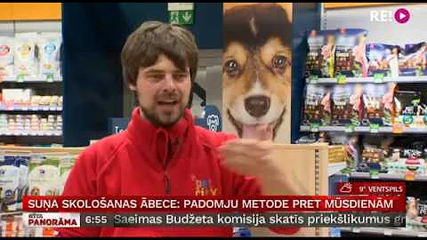 Suņa skološanas ābece: Padomju metode pret mūsdienām