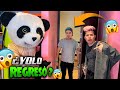 YOLO VIENE A  MI CASA POR SEPARAR YOLO AVENTURAS - JAVI