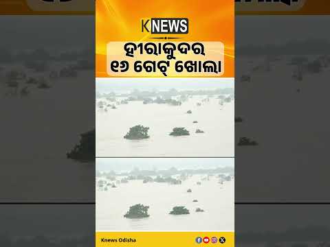ହୀରାକୁଦର ୧୬ ଗେଟ୍ ଖୋଲା। ଛତିଶଗଡ଼ ବର୍ଷା ପରେ ମହାନଦୀରେ ବଢ଼ିଲା ଜଳପ୍ରବାହ।