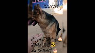 wish you very very Happy Birthday Romi Don 😎😎