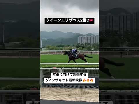 香港で調整中のダノンザキッド｜クイーンエリザベス2世C