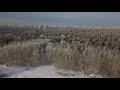 Парк лесоводов России, Екатеринбург 01.01.2018