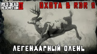 ЛЕГЕНДАРНЫЙ ОЛЕНЬ - охота в RDR 2