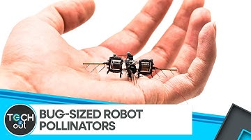Bug-sized Robot Pollinators: The Future Of Farming | WION Tech It Out | World News | WION