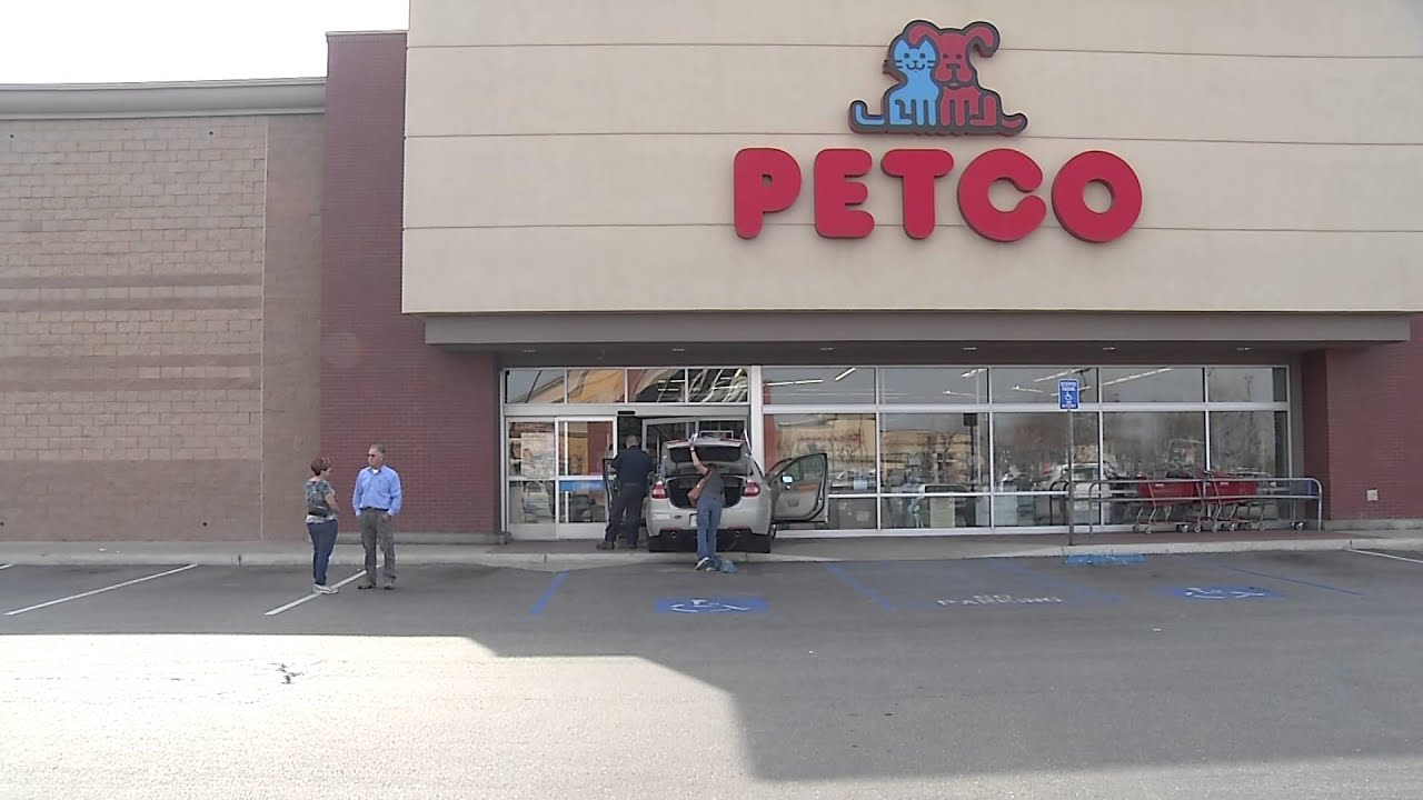 Car crashes into front of Bakersfield pet store YouTube
