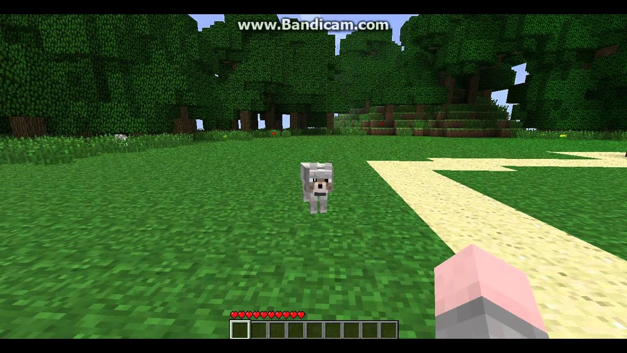 Minecraft DBZ Server-Part 1 - YouTube
