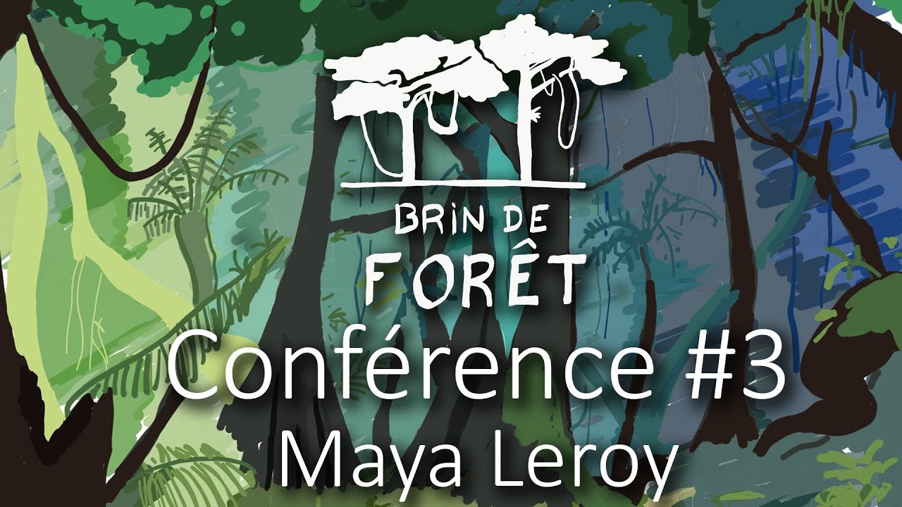 Brin de Forêt #7 - Conférence n°3 - Maya Leroy (AgroParisTech)