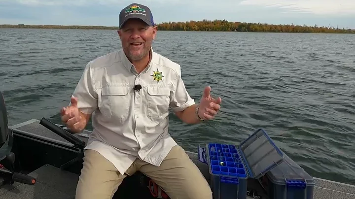 How To Store Crankbaits Without The Tangled Mess!