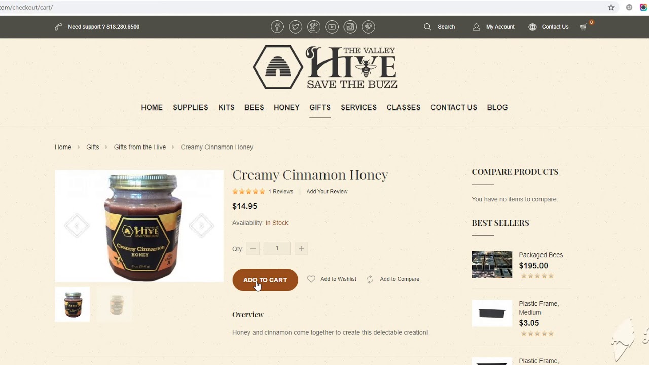 paypal.webm - YouTube