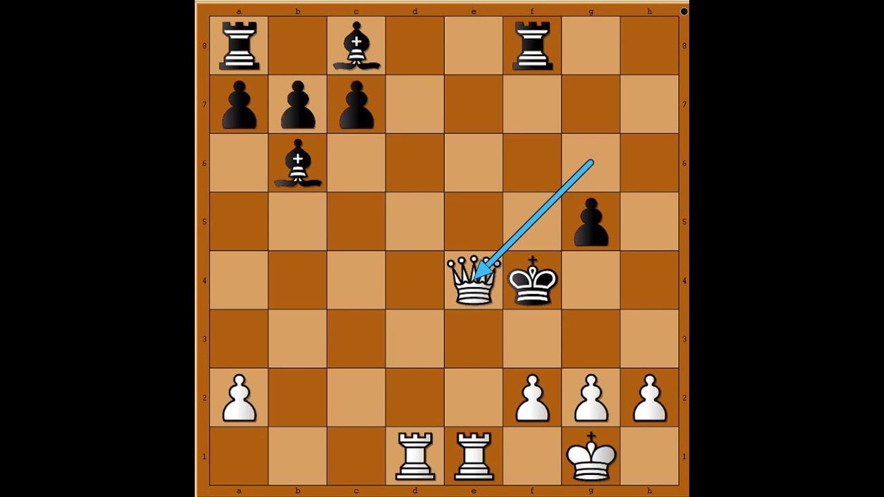 Dramatična situacija Kralj na čistini 👑🤣🤣🤣  LEONARD vs LOYD #3195