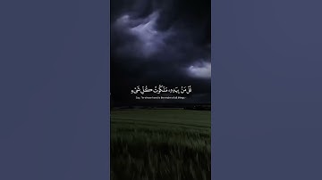 #قرآن #ارحقلبك #تلاوة_خاشعة #قرانكريم #صوت_جميل #راحة_نفسية #قران_كريم #تلاوه