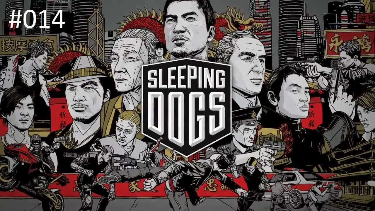 Sleeping Dogs 