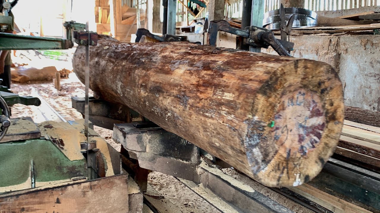 The process of sawing pine wood using benso – stacking thick wooden ...