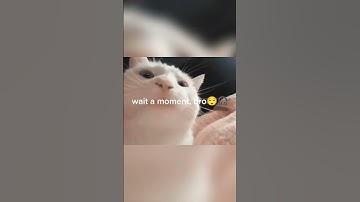 2vs2bomb mission-CALL OF DUTY MOBILE |#codm #codmid #garenacodm #codmobile #codmidcreator