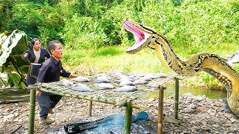 Amazing Fish Trap, How to Process Smoked Fish - Giant Python Ambushes Dwarf Family While They Catch
