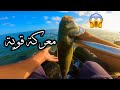 صيد اكبر كمية من سمك القاروص المفترس بطريقة سهلة جدا 