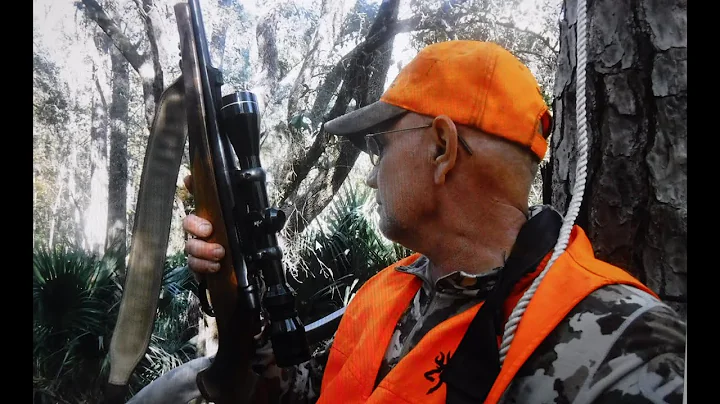 Deer Hunting The Ocala National Forest, Florida Pu...